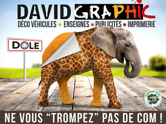 Campagne 4x3 David Graphic 2018, avec un éléphant.
